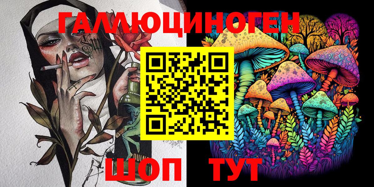 Мыски  Галлюциногенные грибы Cubensis  Вход с VPN 